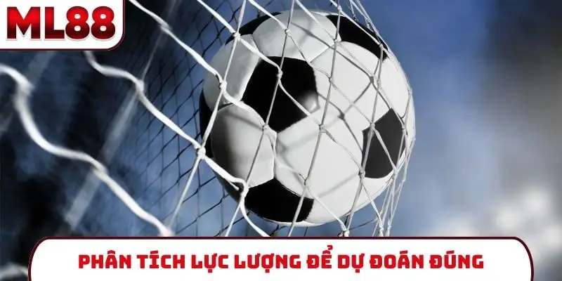 Phân tích lực lượng để dự đoán đúng