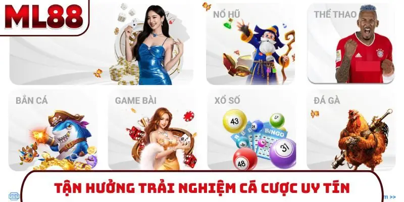Tận hưởng trải nghiệm cá cược uy tín