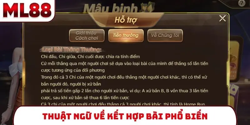 Thuật ngữ về kết hợp bài phổ biến