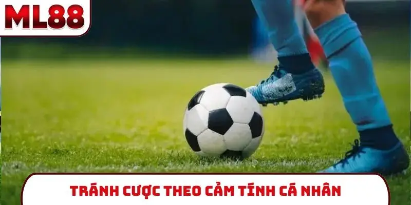 Tránh cược theo cảm tính cá nhân