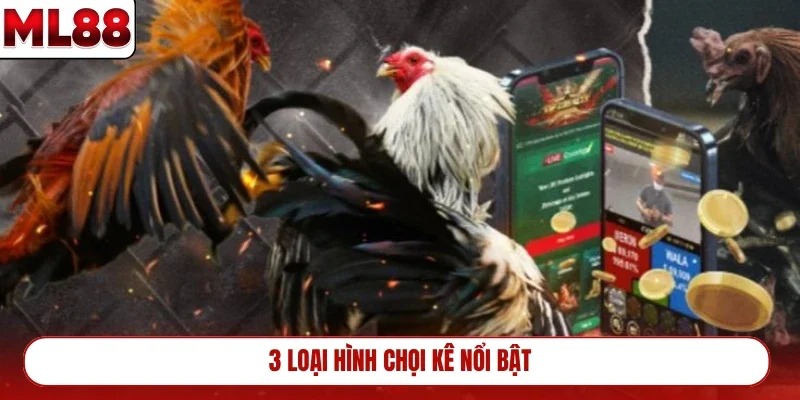 3-loai-hinh-choi-ke-noi-bat