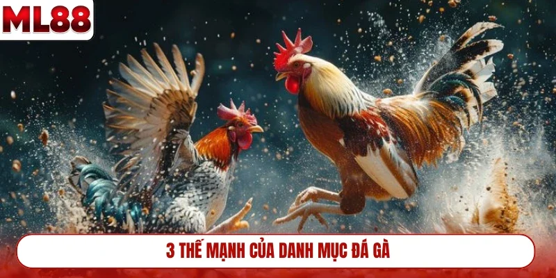 3-the-manh-cua-danh-muc-da-ga