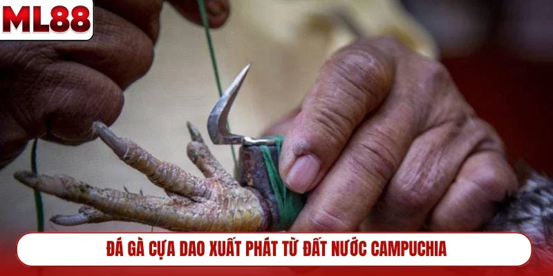 da-ga-cua-dao-xuat-phat-tu-dat-nuoc-campuchia