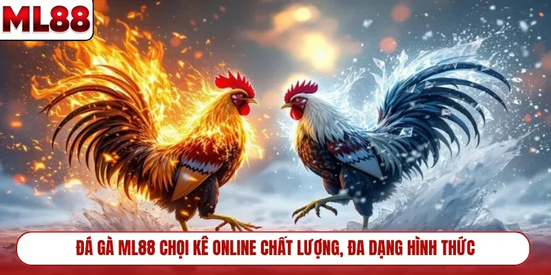 da-ga-ml88-choi-ke-online-chat-luong-da-dang-hinh-thuc
