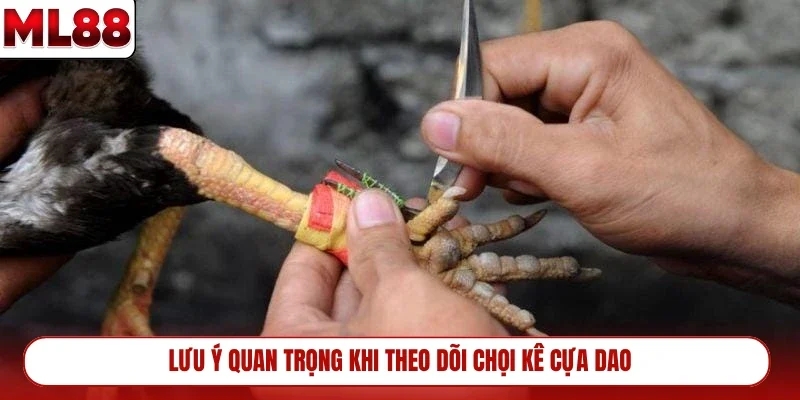 luu-y-quan-trong-khi-theo-doi-choi-ke-cua-dao
