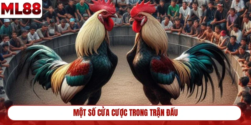mot-so-cua-cuoc-trong-tran-dau